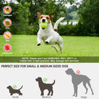 Automatic Tennis Ball Launcher for Dogs
