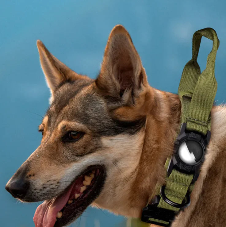 Collar for larger dog with Protective AirTag holder