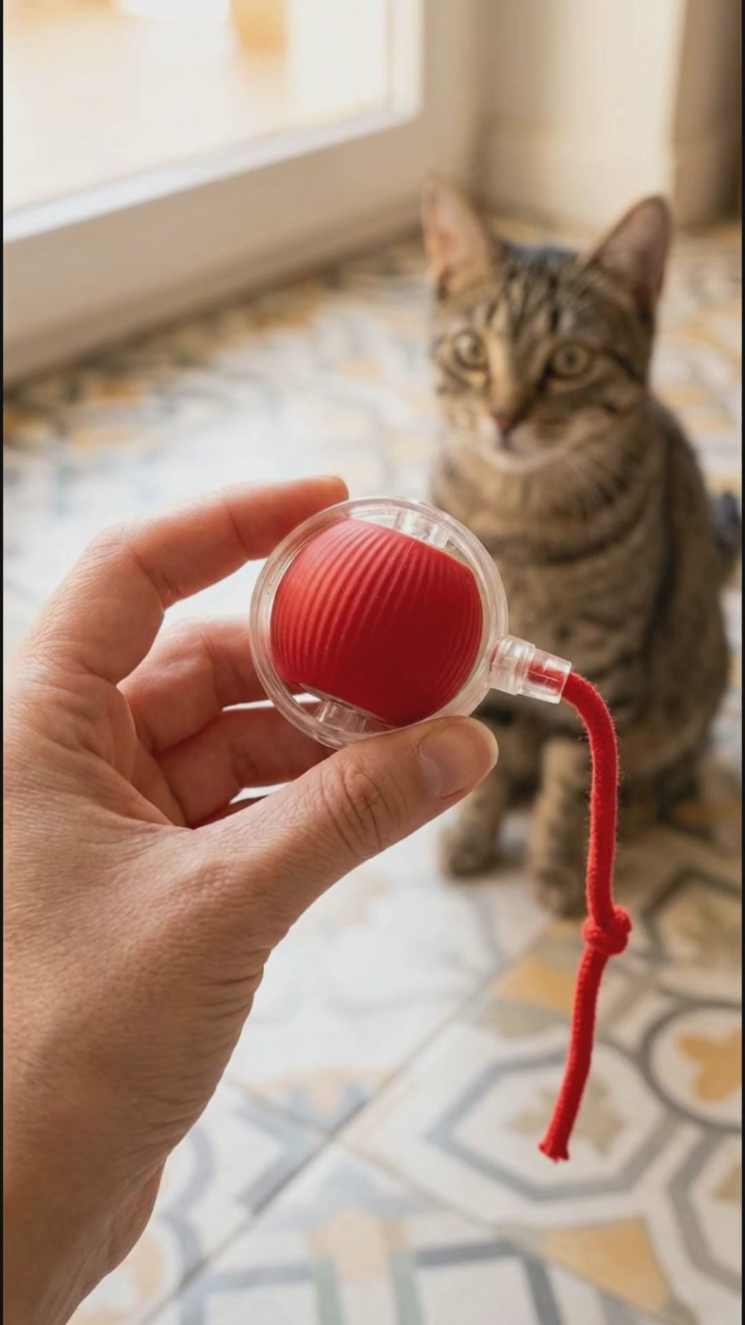Self-Rolling Cat Toy Ball