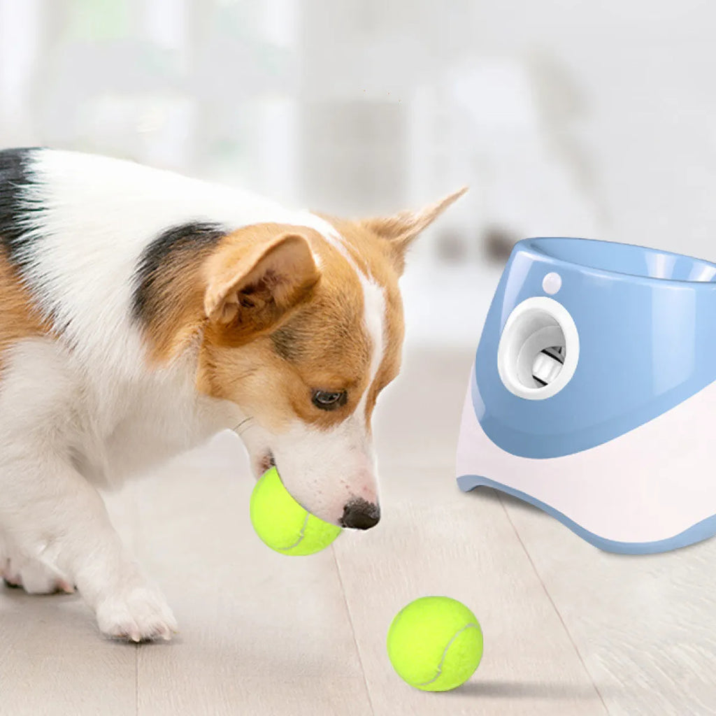Automatic Tennis Ball Launcher for Dogs
